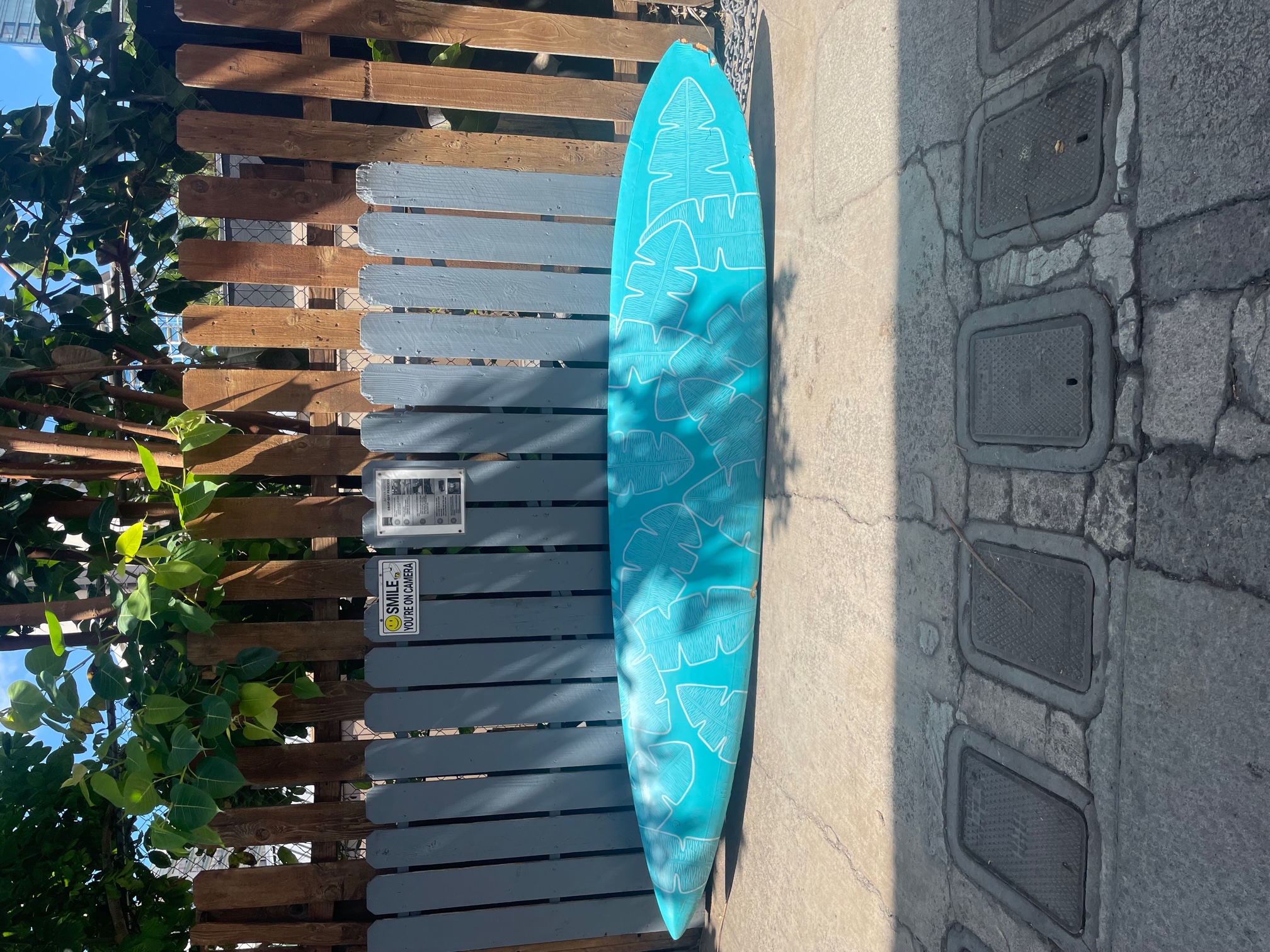 2023 Decorative Surfboard