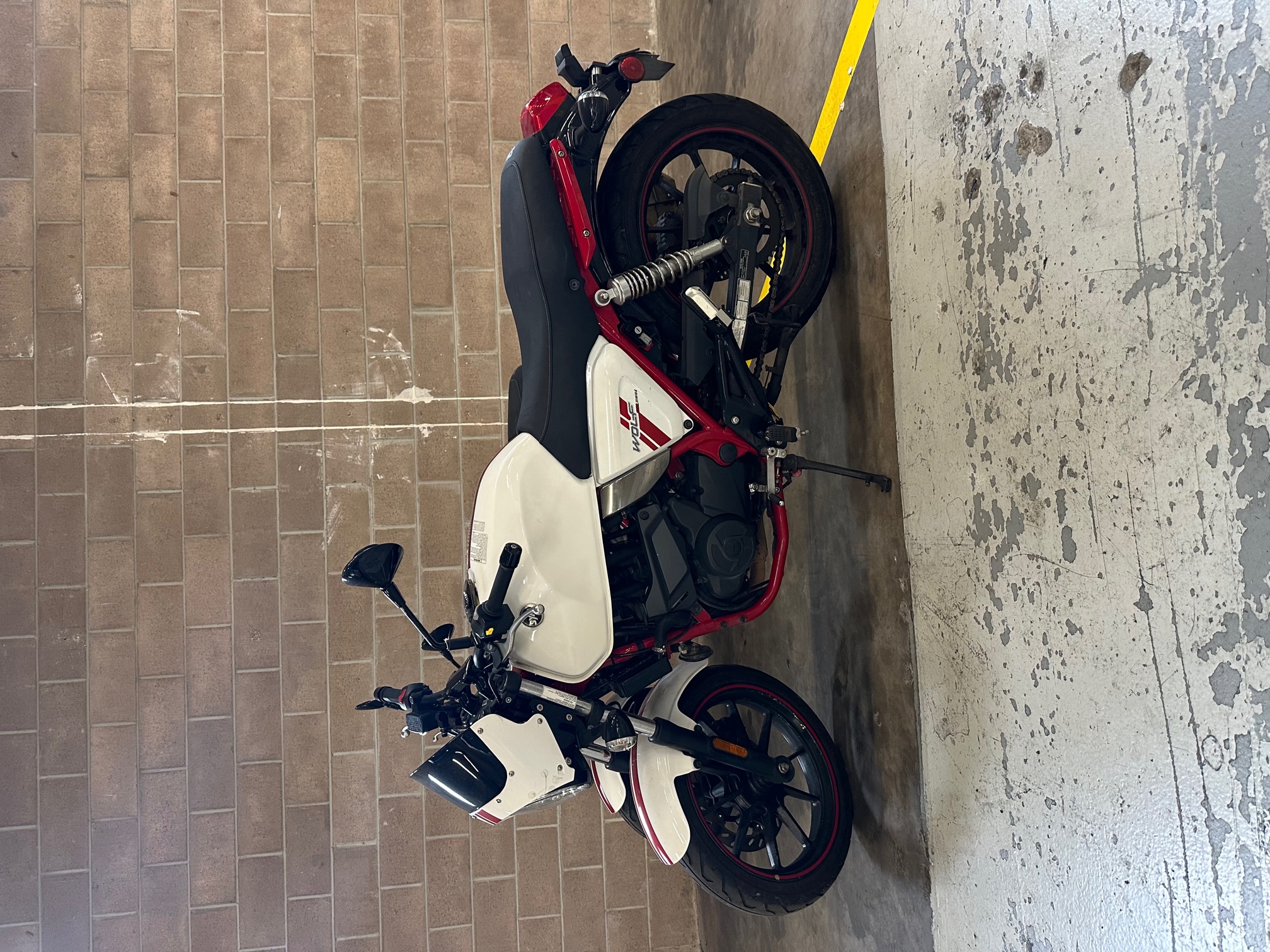 Sym 300 wolf hotsell