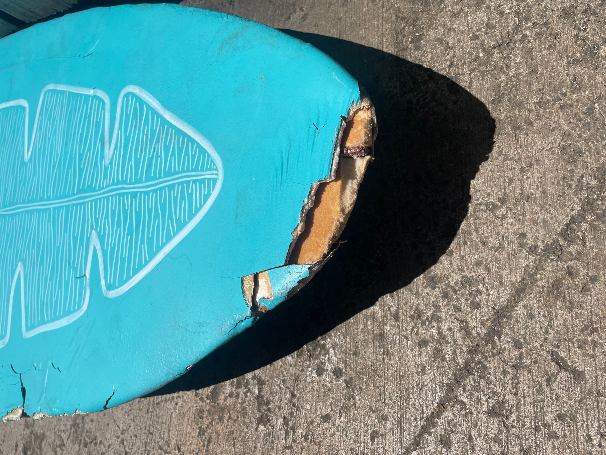 2023 Decorative Surfboard