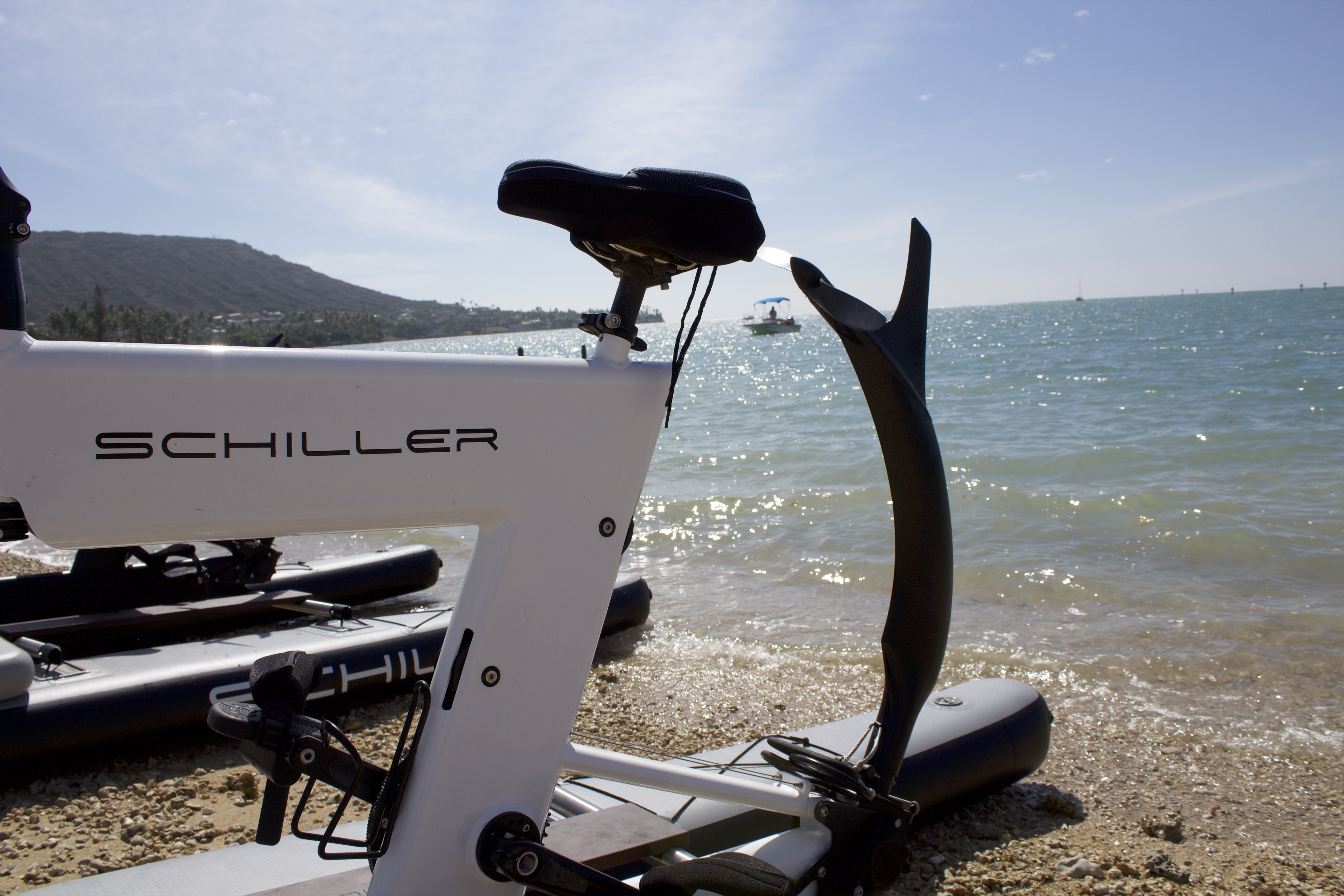 2021 Schiller  Water bike